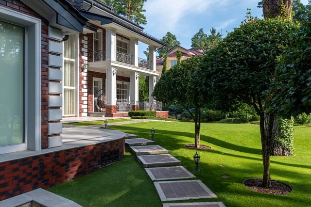 3 Top Reasons to Hire a Tree Service Company