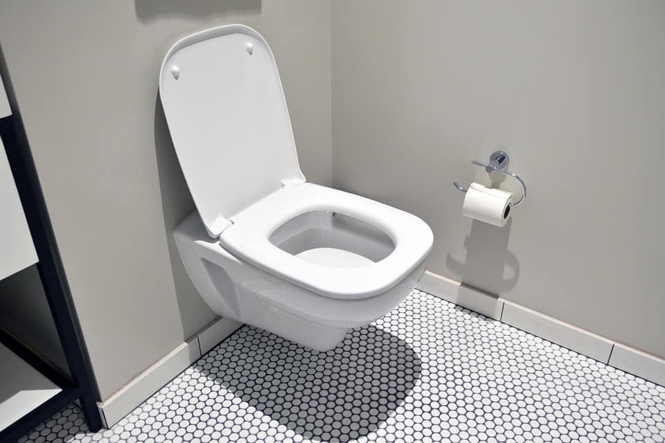 Factors to Consider When Choosing the Right Toilet